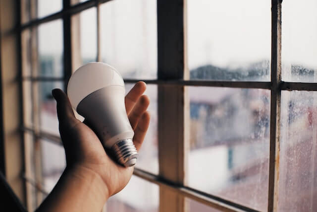 person stands by window holding energy efficient light bulb