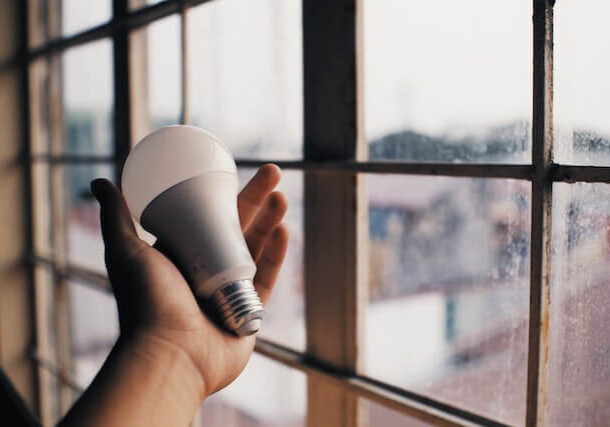 person stands by window holding energy efficient light bulb