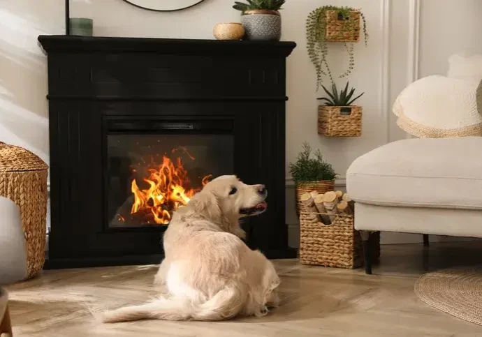 Dog in front of a fireplace