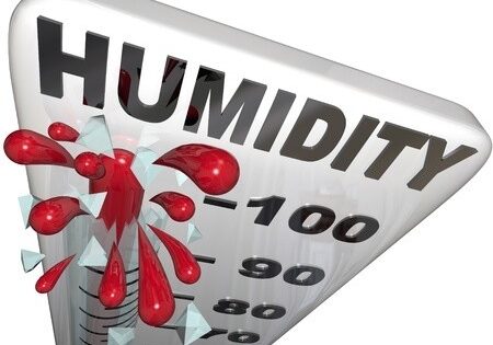 high humidity in your home