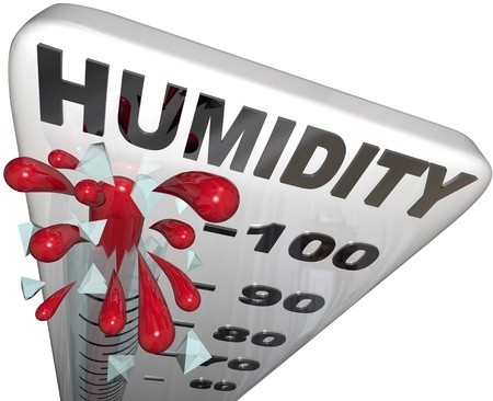high humidity in your home
